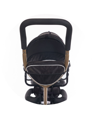 TRK2P0241OG,Tricicleta gemeni Chipolino 2Play obsidian gold
