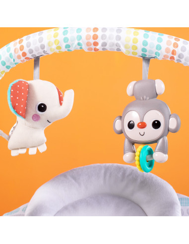 BB-11803,Bright Starts – Leagan portabil Whimsical Wild™