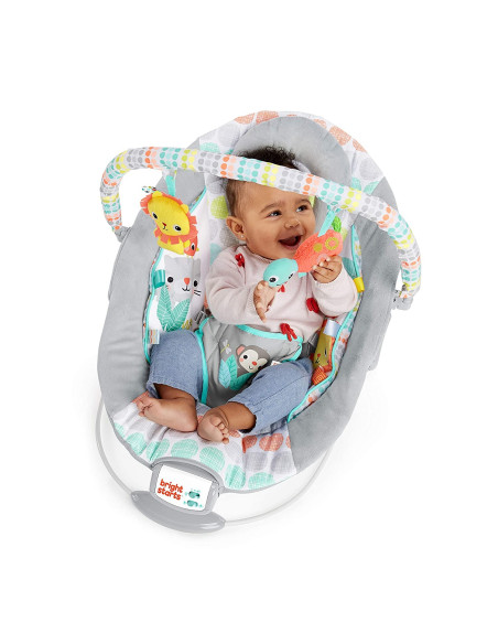 BB-11805,Bright Starts - Leagan si balansoar Whimsical Wild