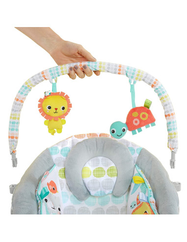 BB-11805,Bright Starts - Leagan si balansoar Whimsical Wild