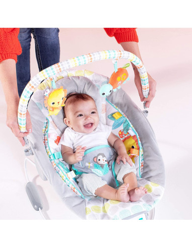 BB-11805,Bright Starts - Leagan si balansoar Whimsical Wild
