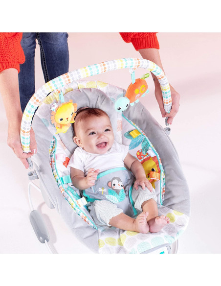 BB-11805,Bright Starts - Leagan si balansoar Whimsical Wild