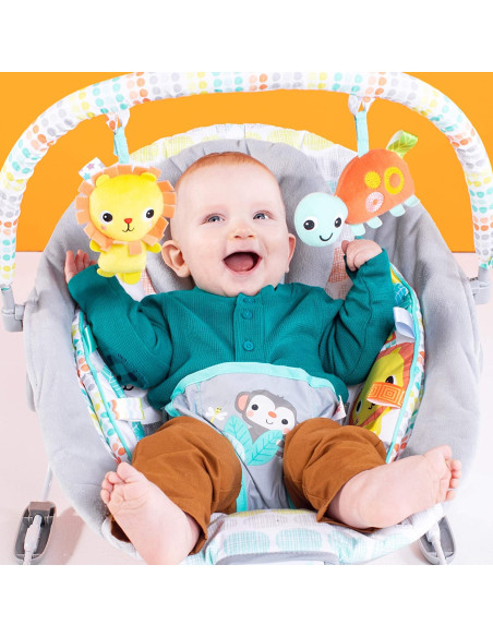 BB-11805,Bright Starts - Leagan si balansoar Whimsical Wild