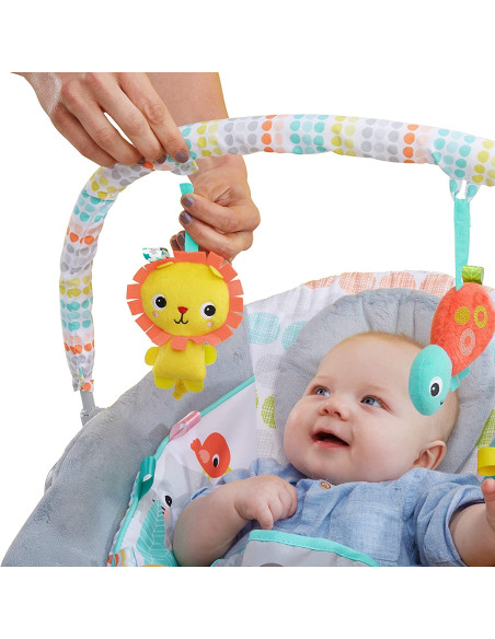 BB-11805,Bright Starts - Leagan si balansoar Whimsical Wild