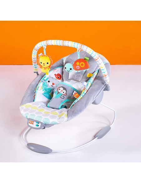 BB-11805,Bright Starts - Leagan si balansoar Whimsical Wild