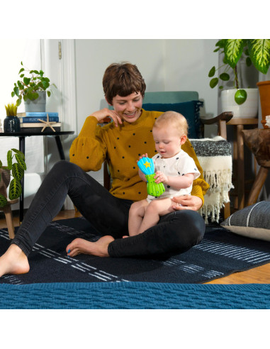 BB-13146,Baby Einstein - Jucarie muzicala telefon, "Ocean Explorers Shell"