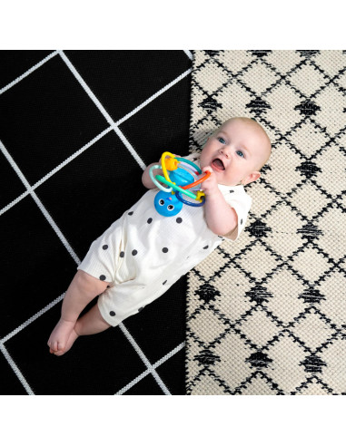 BB-13157,Baby Einstein - Jucarie de dentitie si alinare, "Ocean Explorers Opus"