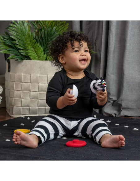 BB-16709,Baby Einstein - Jucarie zornaitoare si dentitie Zen, fara BPA