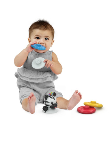 BB-16709,Baby Einstein - Jucarie zornaitoare si dentitie Zen, fara BPA