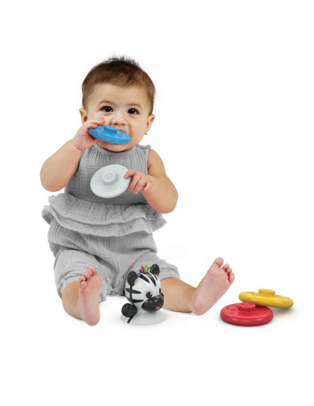 BB-16709,Baby Einstein - Jucarie zornaitoare si dentitie Zen, fara BPA
