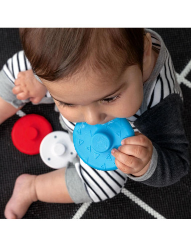 BB-16709,Baby Einstein - Jucarie zornaitoare si dentitie Zen, fara BPA