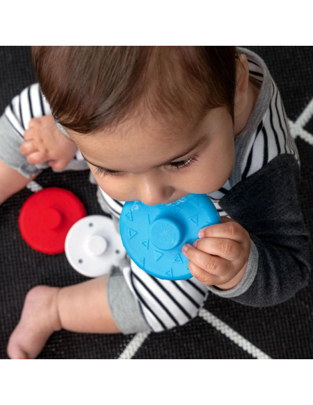 BB-16709,Baby Einstein - Jucarie zornaitoare si dentitie Zen, fara BPA