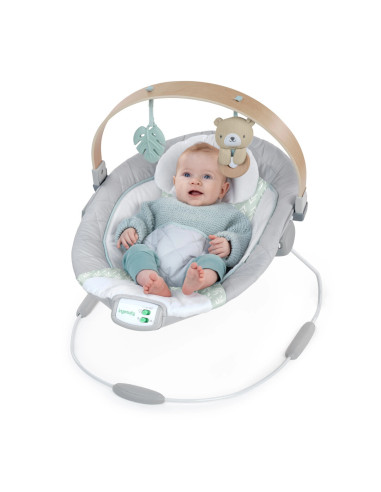 BB-13104,Ingenuity - Balansoar pentru Bebelusi Cozy Spot Soothing
