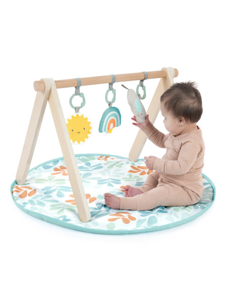 BB-13122,Ingenuity - Salteluta de joaca cu Bara de Jucarii Ity Sun Valley