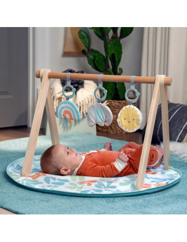 BB-13122,Ingenuity - Salteluta de joaca cu Bara de Jucarii Ity Sun Valley