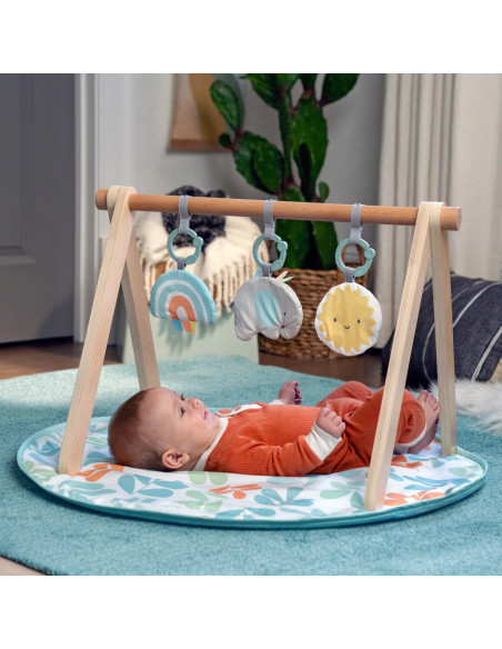 BB-13122,Ingenuity - Salteluta de joaca cu Bara de Jucarii Ity Sun Valley