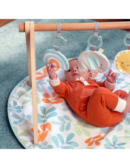 BB-13122,Ingenuity - Salteluta de joaca cu Bara de Jucarii Ity Sun Valley