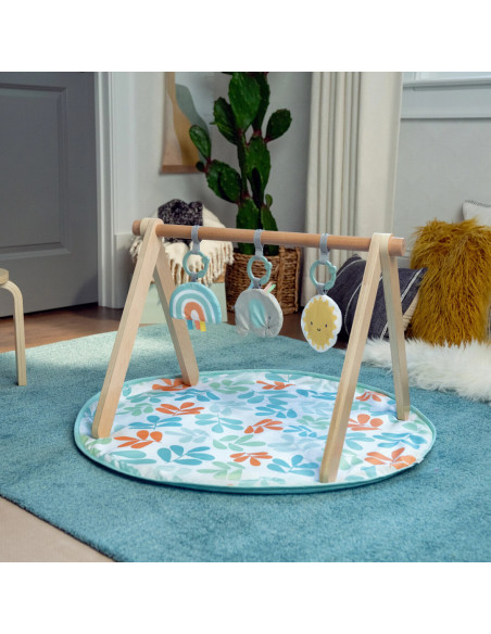 BB-13122,Ingenuity - Salteluta de joaca cu Bara de Jucarii Ity Sun Valley