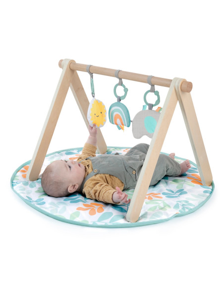 BB-13122,Ingenuity - Salteluta de joaca cu Bara de Jucarii Ity Sun Valley