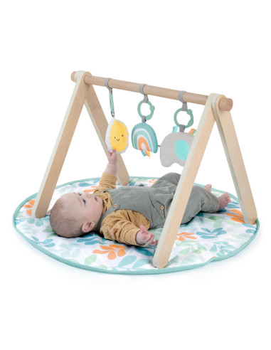 BB-13122,Ingenuity - Salteluta de joaca cu Bara de Jucarii Ity Sun Valley