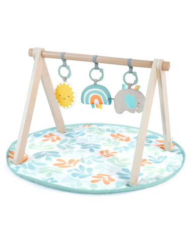 BB-13122,Ingenuity - Salteluta de joaca cu Bara de Jucarii Ity Sun Valley