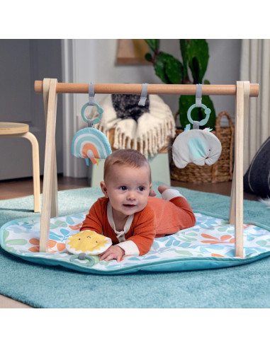 BB-13122,Ingenuity - Salteluta de joaca cu Bara de Jucarii Ity Sun Valley