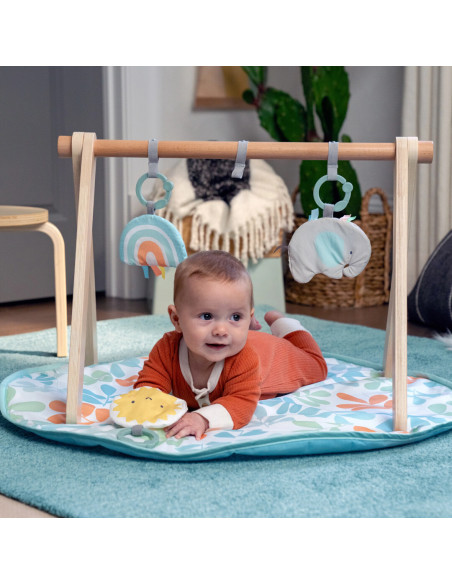 BB-13122,Ingenuity - Salteluta de joaca cu Bara de Jucarii Ity Sun Valley