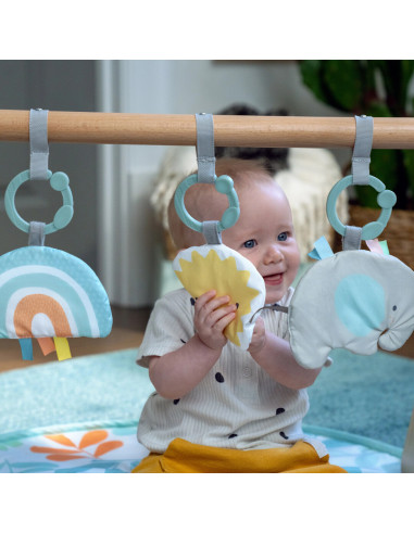 BB-13122,Ingenuity - Salteluta de joaca cu Bara de Jucarii Ity Sun Valley