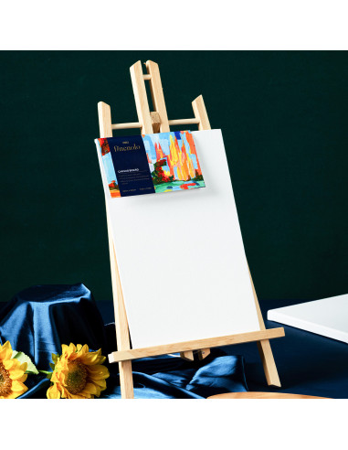 DLEC280-1,Carton panzat 18 x 24 cm deli