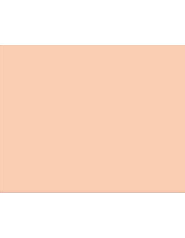 NI180098661,Carton copiator a4 salmon pal 160g 250/top sa24 niveus