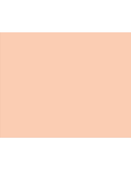 NI180098661,Carton copiator a4 salmon pal 160g 250/top sa24 niveus