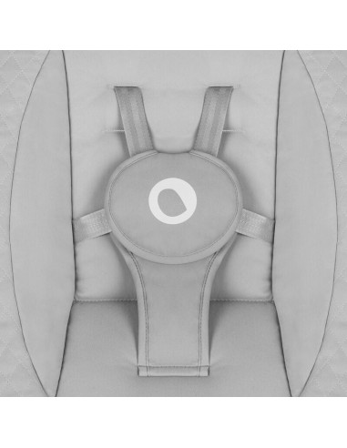 BN-LO-IRIS_GREY_CONCRETE,Balansoar, Lionelo, Iris, 2 in 1, Rotire 360 grade, Electric, Cu 3 moduri de leganare, Cu 5 trepte de v