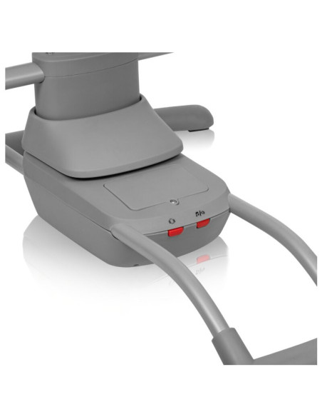 BN-LO-RIO_BEIGE_LATTE,Leagan, Lionelo, Rio, Electric, Cu 3 viteze de leganare, Cu 8 melodii, Cu telecomanda, Cu husa detasabila,