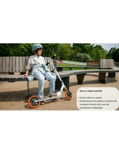 BN-LO-LUCA_BLACK_CARBON_PINK,Trotineta, Lionelo, Luca, Pentru copii sau adulti, Ultrapliabila, Pana la 100 Kg, Conform cu standa