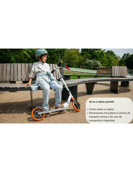 BN-LO-LUCA_BLACK_CARBON_PINK,Trotineta, Lionelo, Luca, Pentru copii sau adulti, Ultrapliabila, Pana la 100 Kg, Conform cu standa