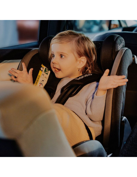 BN-LO-AART_I-SIZE_GREY_GRAPHITE,Scaun auto, Lionelo, Aart i-Size, Cu spatar inclinabil in 4 pozitii, Cu tetiera reglabila in 13 