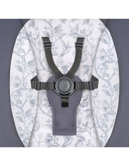 BN-LO-RALF_GREY_WHITE,Balansoar si sezlong, Lionelo, Ralf, 2 in 1, Electric, Cu telecomanda si cablu USB, Cu miscare laterala de