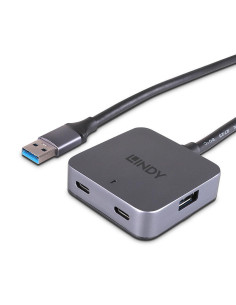 Hub Lindy 4 Port USB 3.0 5m...