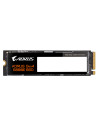 GIGABYTE AORUS SSD M.2 500GB GEN4 "AG450E500G"