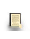 ZAC00001GR,eBook Reader Lenovo Smart Paper, 10.3inch, 64GB, Storm Grey