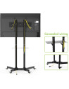 Stand TV mobil Techly TV LCD LED 30-65, Negru ICA-TR6, 309982 "ICA-TR6"