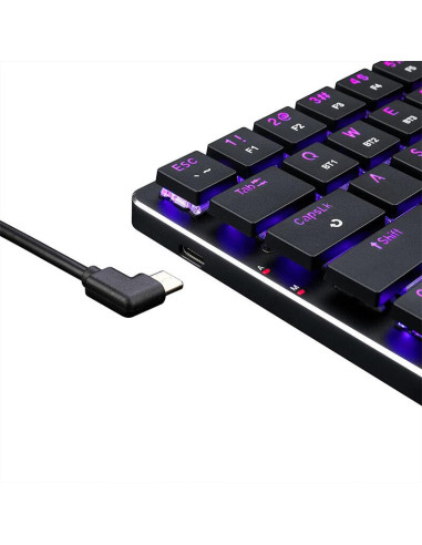 K624P-KBS_RD,Tastatura gaming mecanica Bluetooth cu fir si wireless Redragon Elise Pro RGB neagra iluminare RGB