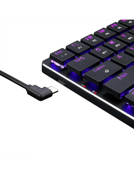 K624P-KBS_RD,Tastatura gaming mecanica Bluetooth cu fir si wireless Redragon Elise Pro RGB neagra iluminare RGB