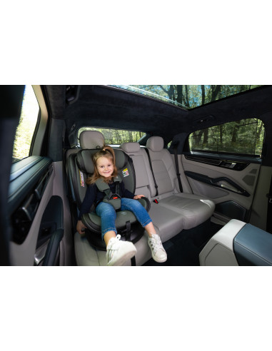 10071832412,Scaun auto, Aviator, Isofix, i-Size, 0 Luni-12 Ani, 40-150 cm, Beige