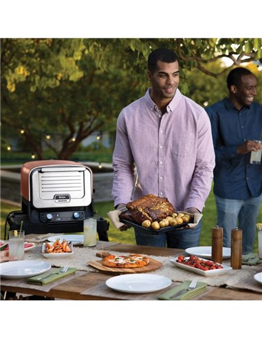 Cuptor electric Ninja woodfire OO101EU, 8 in 1, 2400 W, 370 °C, Terracotta