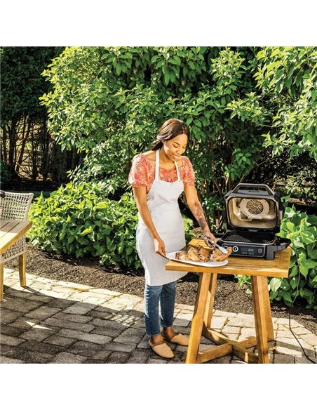 Gratar electric si afumator/air fryer Ninja OG701EU, 1000 W, Negru