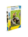 RVSPC00871,Puzzle pui de vulpe 300 piese