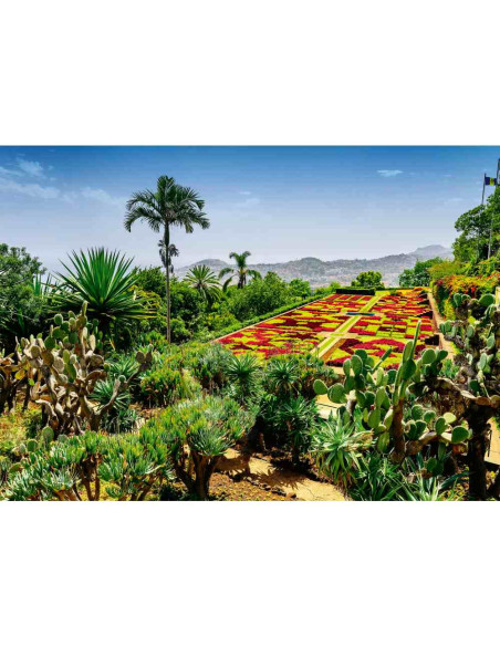 RVSPA00853,Puzzle gradina botanica Madeira 1000 piese