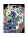 RVSPBN23649,Pictura pe numere Klimt fecioara