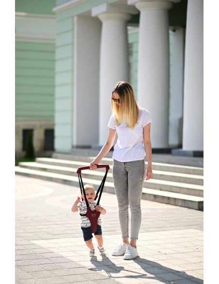 10010140008,Ham de siguranta Step by Step